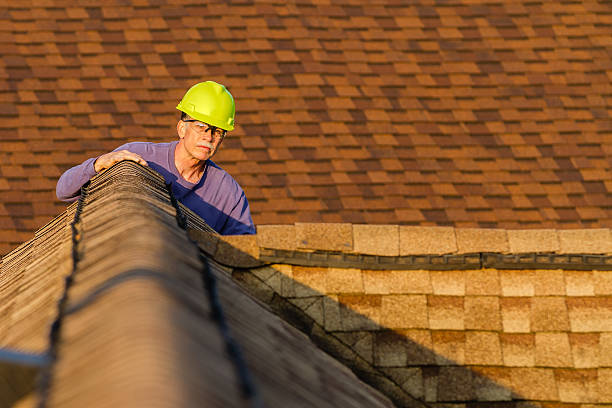 Best Roof Gutter Cleaning  in Sandusky, MI
