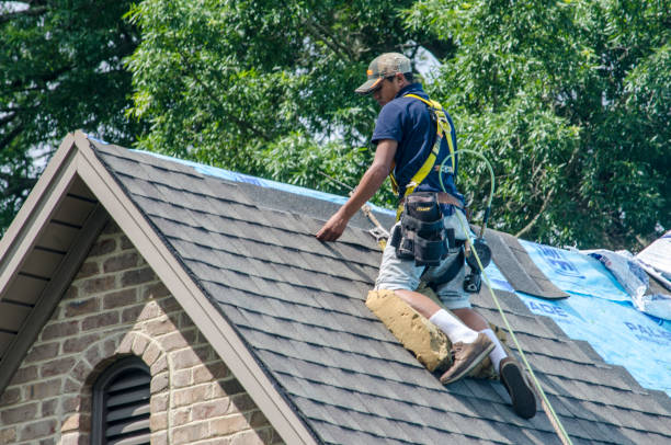 Best Metal Roofing Contractor  in Sandusky, MI